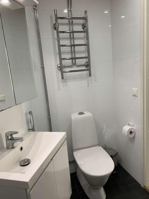 Newly Renovated Helsinki